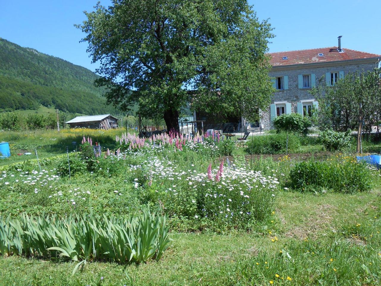 Gites Des Gabriels La Chapelle-en-Vercors Eksteriør billede